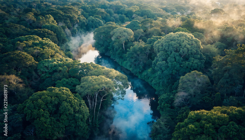Lush rainforest canopy with winding river and misty atmosphere for