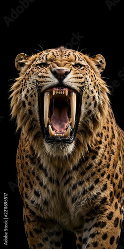 portrait of a leopard