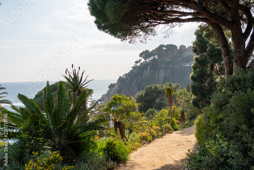 Marimurtra Botanical Garden footpath overlooking the Mediterranean Sea in Blanes, Costa Brava, Catalonia, Spain. Scenic coastal nature landscape with exotic plants and pine trees.