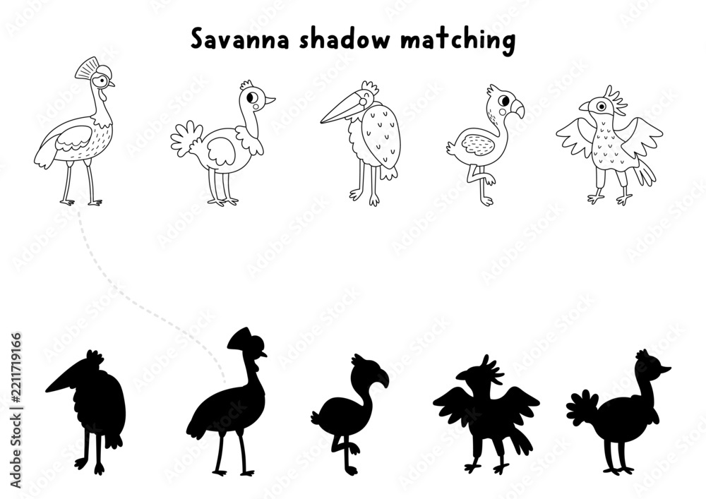 Fototapeta premium Savanna black and white shadow matching activity with wild birds. Safari line puzzle with ostrich, crowned crane, flamingo. African savannah find correct silhouette coloring page, game
