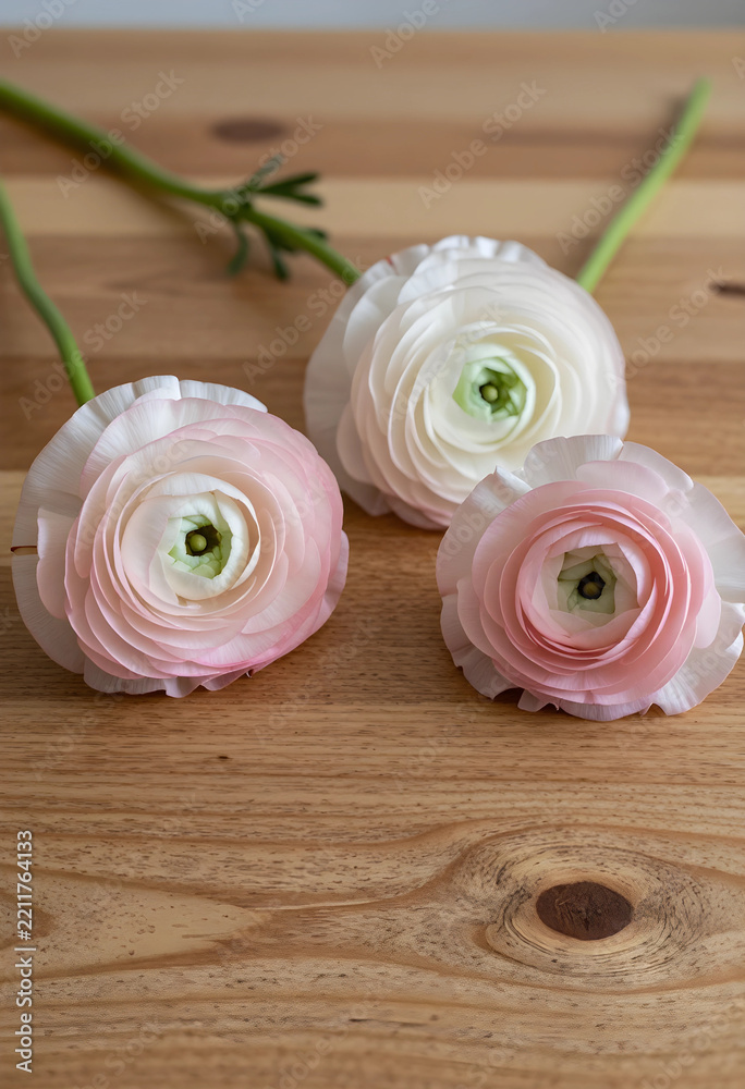Fototapeta premium Spring floral arrangement, delicate ranunculus flowers in soft pastel pink and white on a natural wooden table for wedding decor and interior design