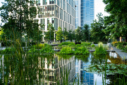 Reflective pond within an urban green space in Europe, with landscaped planting and modern buildings surrounding a calm public garden