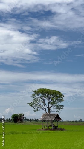 rural landscape with blue sky