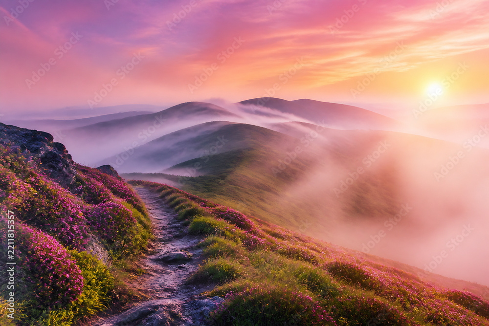 Obraz premium A misty sunrise over rolling green hills with a winding dirt path in the foreground.