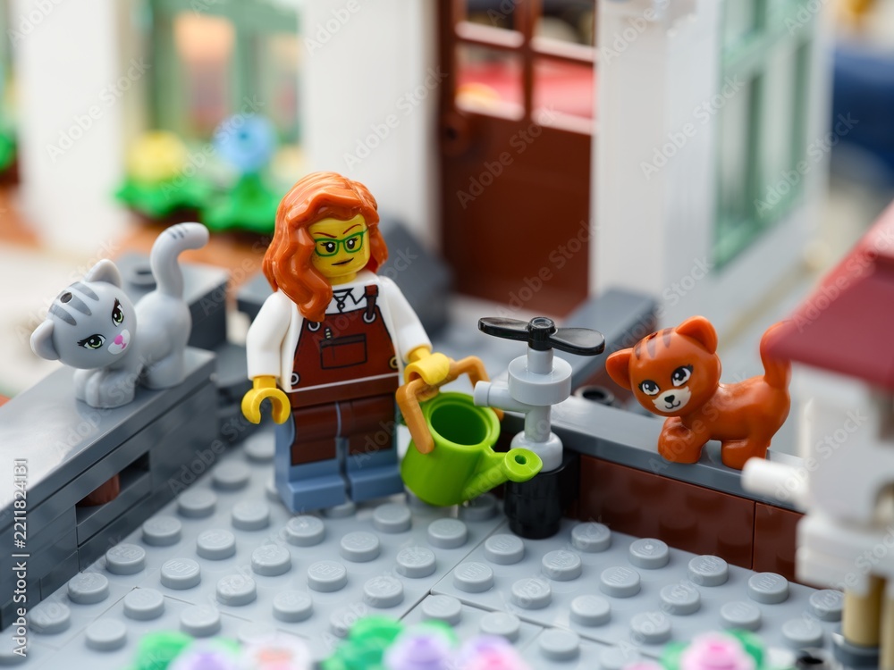 Obraz premium Tambov, Russian Federation - August 22, 2026 Lego woman gardener minifigure holding a green watering can next to a water tap. Lego grey cat and ginger cat standing near.