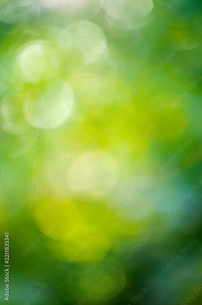 Fototapeta premium Green bokeh background from nature forest out of focus