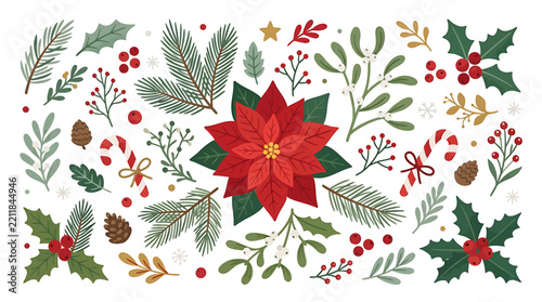 Colorful holiday poinsettia and greenery decorative illustration collection