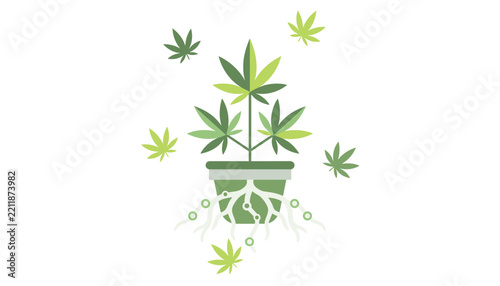 Green cannabis plant growing in a pot with visible root system and floating leaves on a white background.