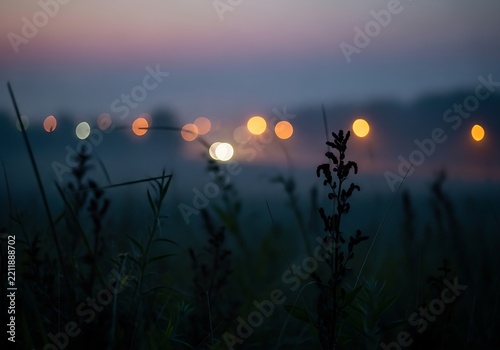 Foggy field with glowing car lights at dusk