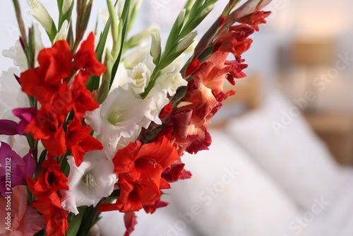 Beautiful gladiolus flowers indoors, closeup. Space for text