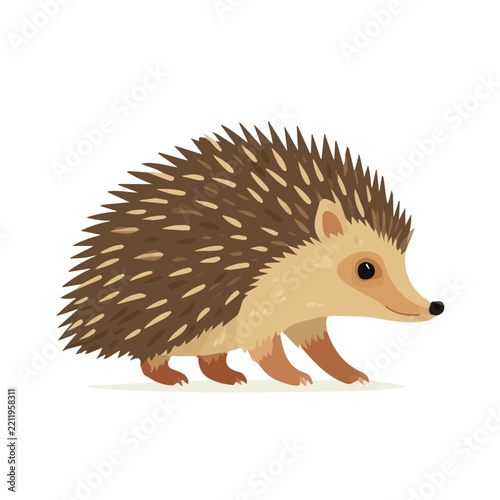 A simple and modern flat 2D vector of a Hedgehog Tenrec, isolated on a pure white background.