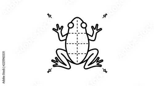 Fotografie Frog dissection diagram icon for biological science education study