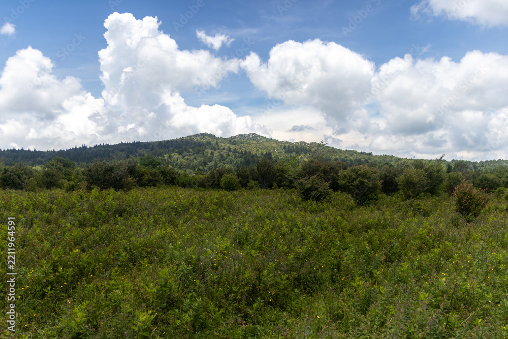 Fototapeta premium Open Meadow Below a Rocky Forested Ridge