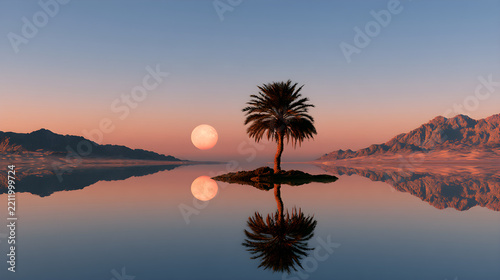 Desert Oasis Palm Reflection Glowing Softly In Still Water