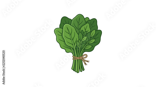 Fresh bunch of green spinach leaves tied with twine.