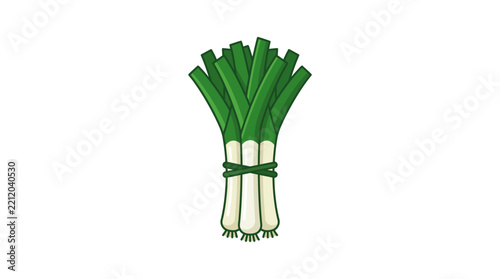 Illustration of a fresh bunch of green leeks tied together.