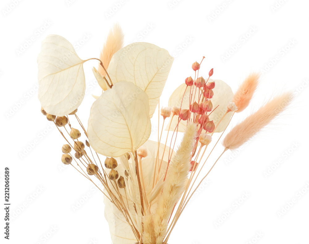 Fototapeta premium Beautiful bouquet of dried plants isolated on white