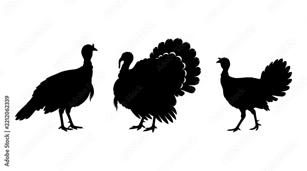 Fototapeta premium Thanksgiving turkey silhouette collection isolated on white background for autumn harvest greeting cards editable eps