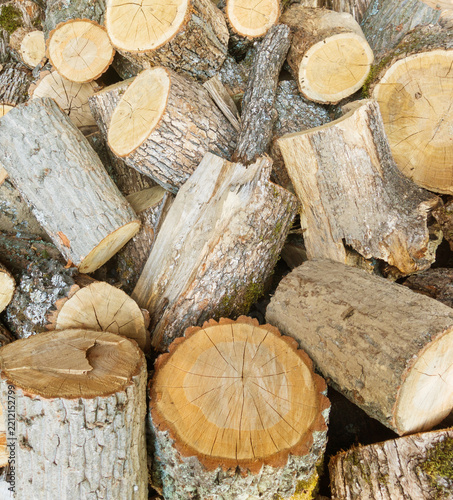 Chopped tree firewood logs stacked showing tree bark.
