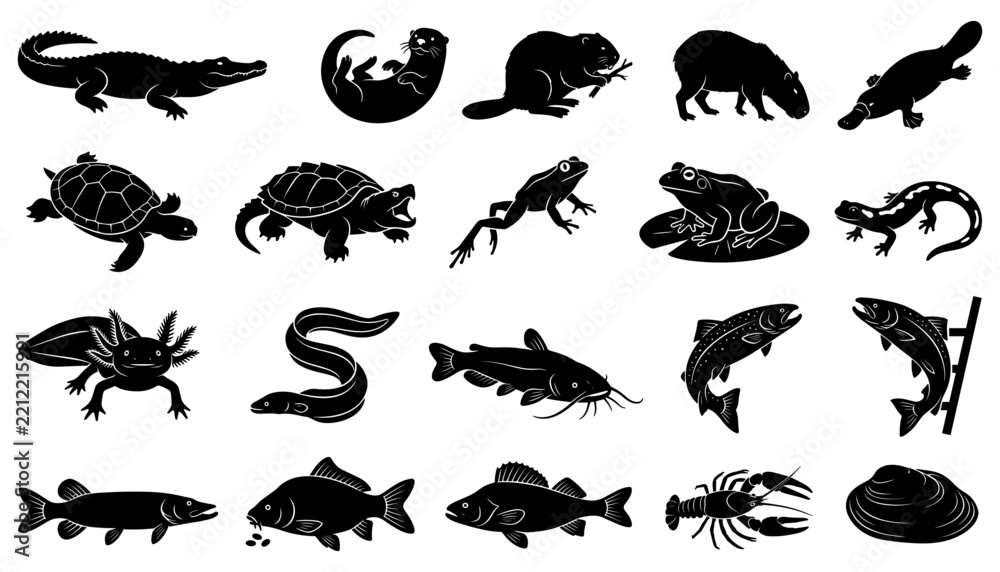 Obraz premium Aquatic Animals Set with Various Reptiles, Amphibians, Fish, and Crustaceans