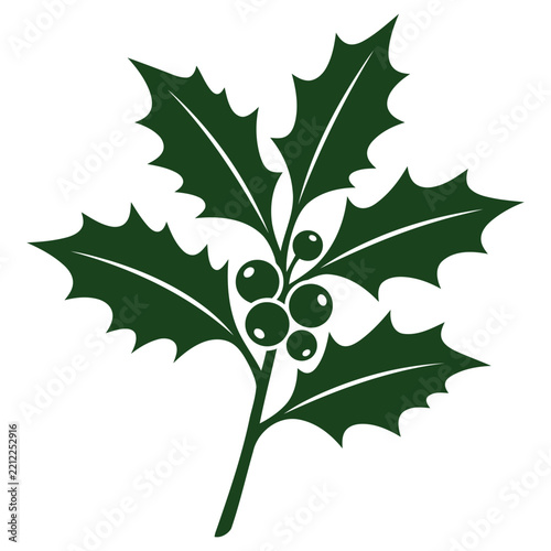 Stylized illustration of a holly plant with three green leaves featuring pointed edges and prominent veins. 