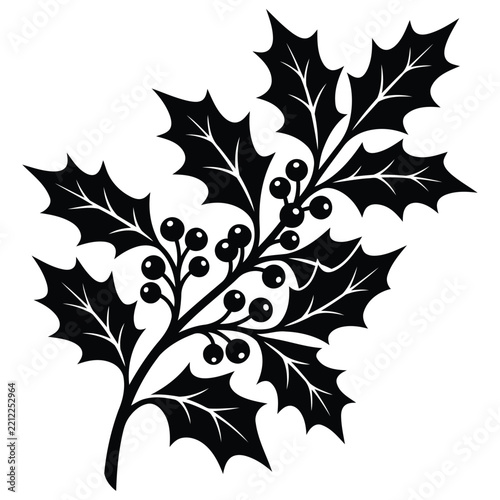 Silhouette of a holly branch
