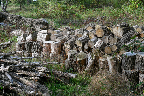 Obraz na plátně stères de bois sec coupé pour le chauffage