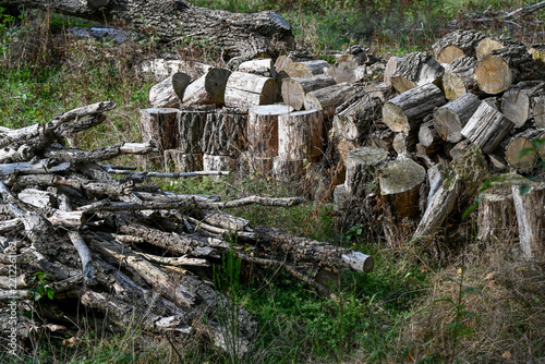 Fotografie stères de bois sec coupé pour le chauffage