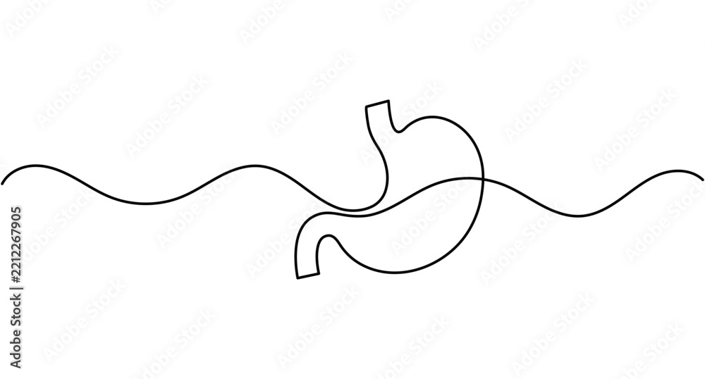 Obraz premium Stomach continuous one line drawing simple minimalist human organ outline editable stroke vector illustration