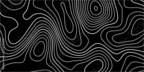 Abstract swirling lines create a white vector pattern on a black background