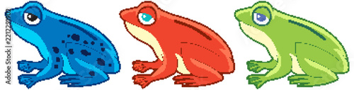 Colorful Cartoon Poison Dart Frogs Vector Illustration