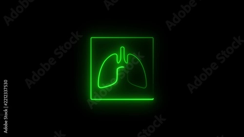 Lungs Human Internal Organ Isolated black Background