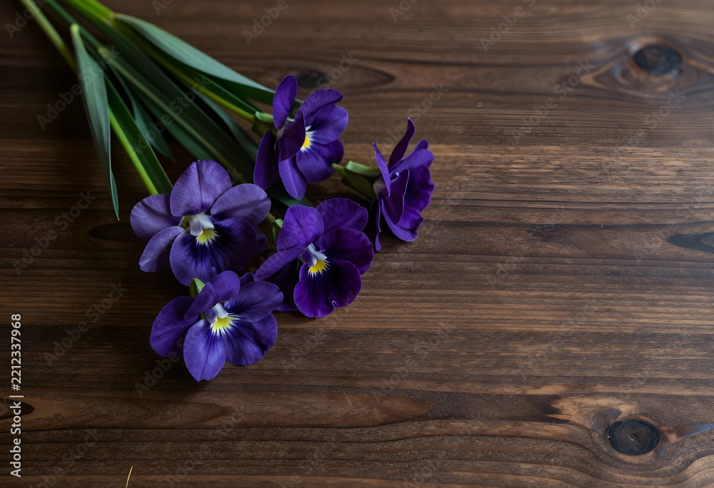 Fototapeta premium Spring renewal and floral beauty, purple pansy flowers on a rustic dark wooden table for home decor and seasonal greeting card background design