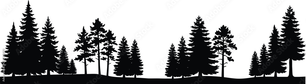 Fototapeta premium Horizontal black silhouette banner of pine forest trees and wild conifer woods on white background