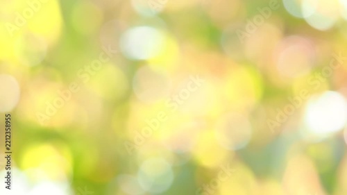 やわらかな光のボケ。ゆらゆらと風に揺れるあたたかい秋色の木漏れ日。穏やかな秋の光の風景。