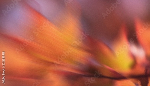 Abstract Blurred Autumn Foliage with Warm Orange Red Yellow and Purple Motion