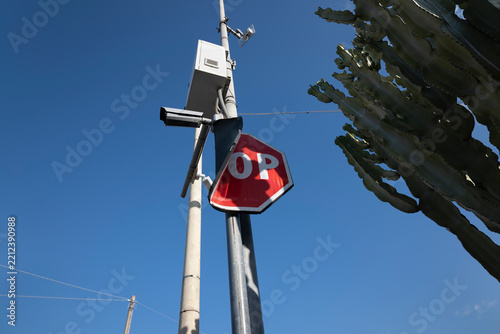 Damaged Traffic Sign and Cactus