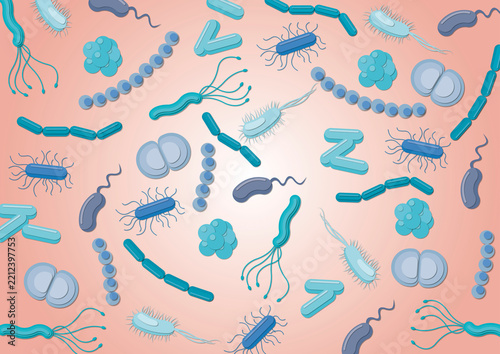 Assorted bacteria, illustration