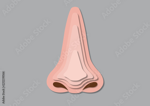 Human nose, illustration