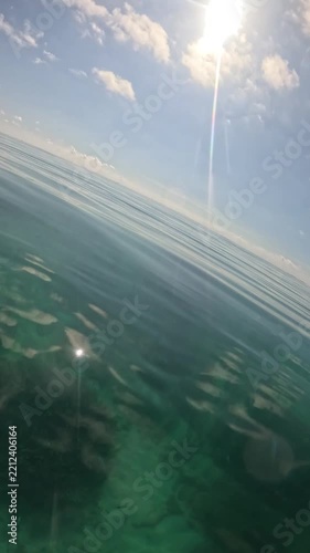 平和な海に広がるサンゴ礁と希望を感じる太陽光