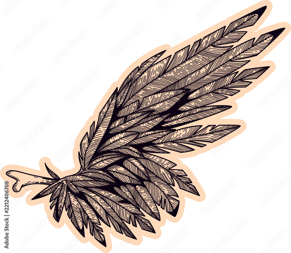 Fototapeta premium Feathered Wing Sticker