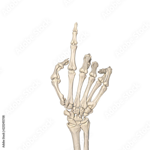 Realistic Halloween Skeleton Hand Pointing Gesture PNG Cutout