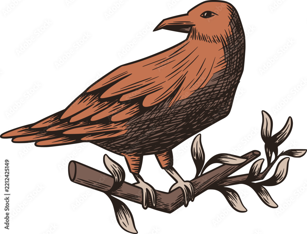 Fototapeta premium Raven Perched Branch
