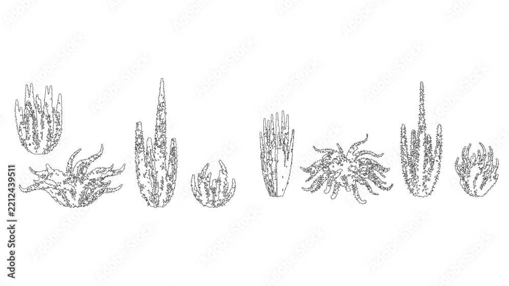 Obraz premium set of vine stroke vector side view plant jungle foliage illustration vector design.