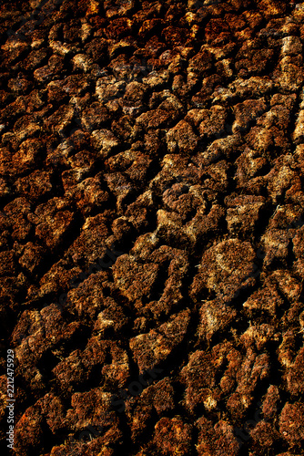 Parched Brown Cracked Dry Earth Mud Ground Texture | Arid Drought Landscape,