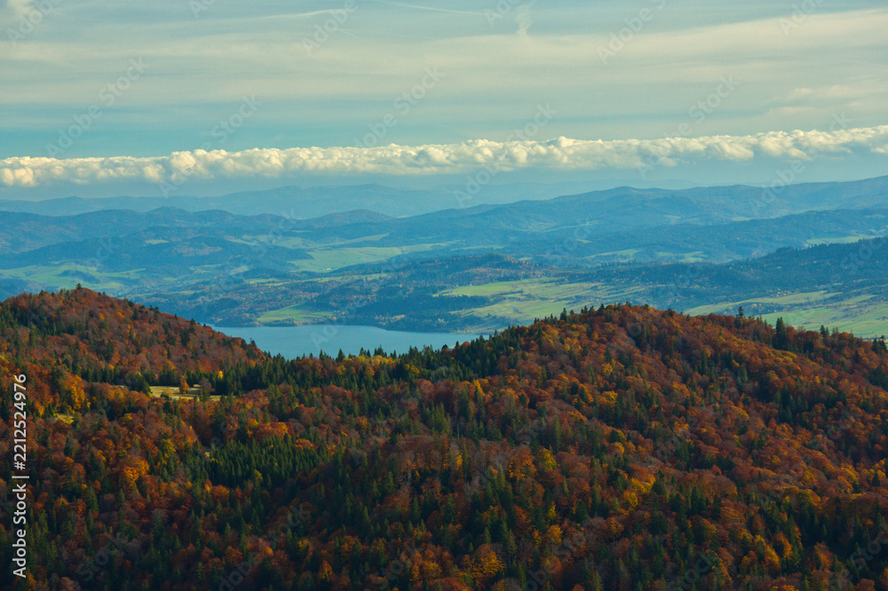Fototapeta premium view of the lake and forest