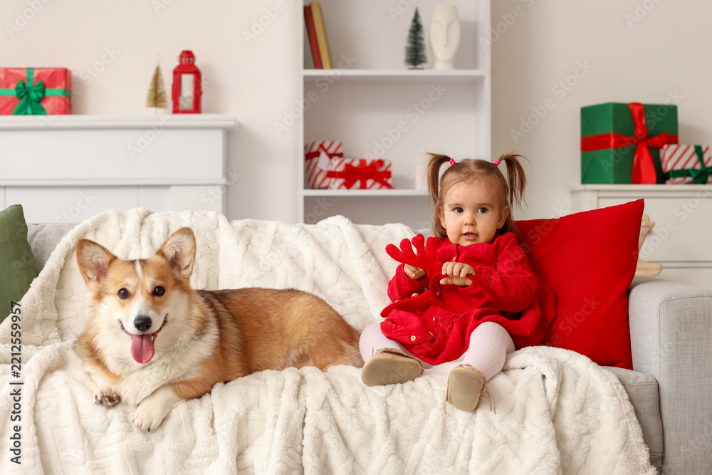 Fototapeta premium Christmas family traditions, toddler girl and corgi dog sitting on sofa with holiday gifts and festive home decor in a cozy living room interior