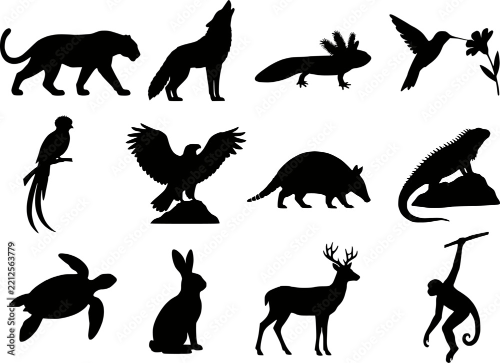 Obraz premium Mexican wildlife animals silhouettes vector icon set. Featuring jaguar, coyote, axolotl, hummingbird, quetzal, eagle, armadillo, iguana, sea turtle, rabbit, deer and spider monkey. Isolated.