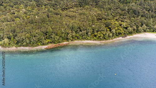 Aerial view of Lake Tikitapu Blue Lake showing the clear turquoise water meeting the lush green native forest along the shoreline in Rotorua, Bay of Plenty Region, New Zealand.