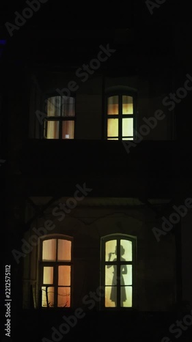 The silhouette of a lonely young woman with a glass of wine in the window of a house at night